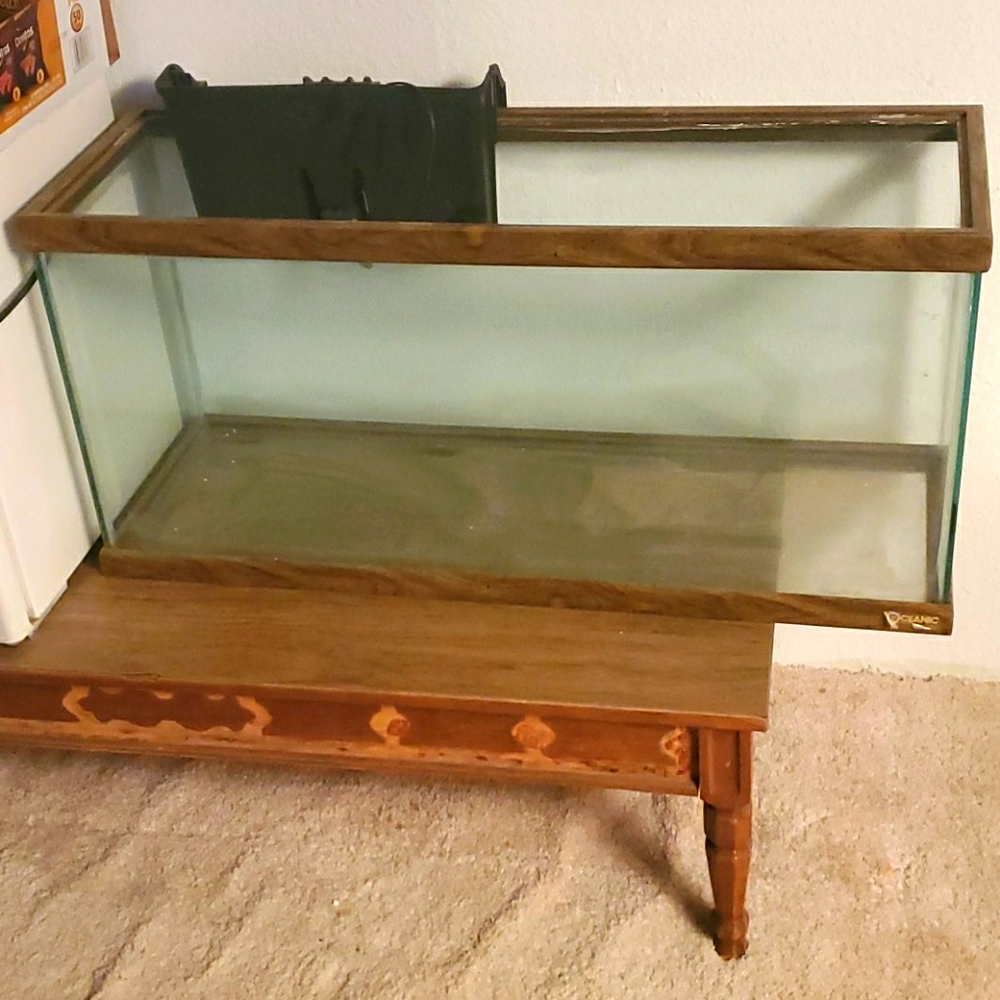 55 gallon fish tank
